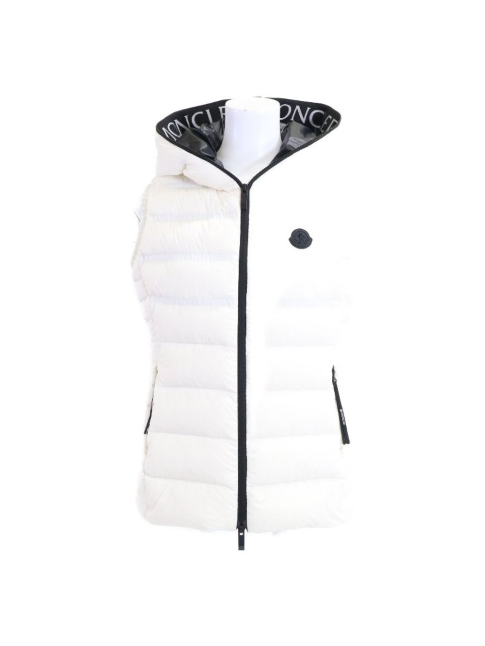 Moncler Aliterse Hoodie Down 00
